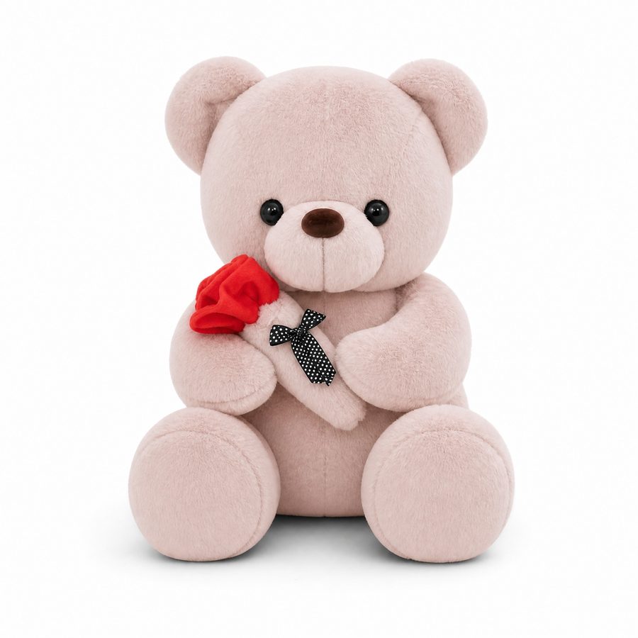 Rosa Teddybär Plüschtier mit Rose - Fond blanc frontal