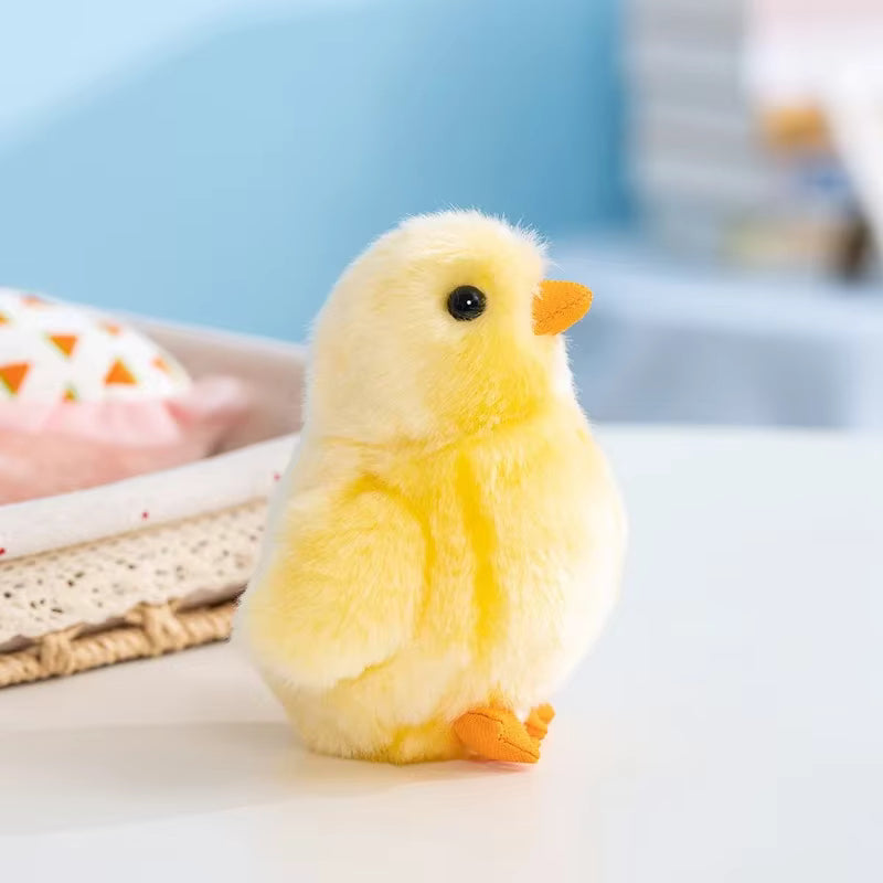 Poule et Poussin Image