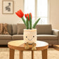Peluche plante kawaii tulipes en pot