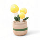 Peluche plante kawaii champignon décoratif doux