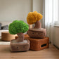Peluche plante kawaii bonzaï sourire tendre
