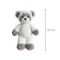Peluche raton laveur tout doux