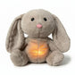  Lapin en peluche beige, ventre lumineux, oreilles tombantes, posé assis sur fond blanc.