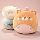 Peluche coussin ronde style Squishmallow