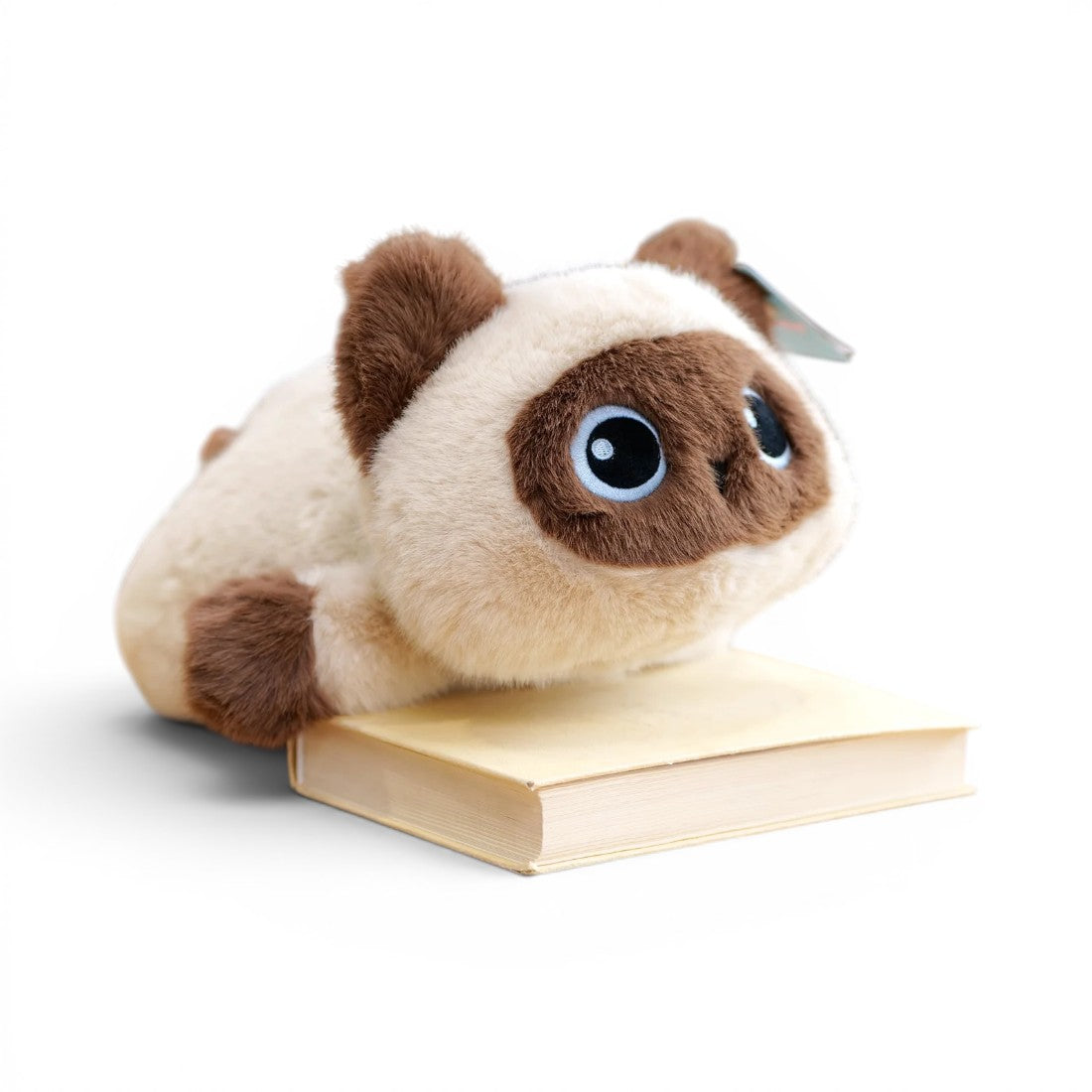 Peluche petit chat trop craquant