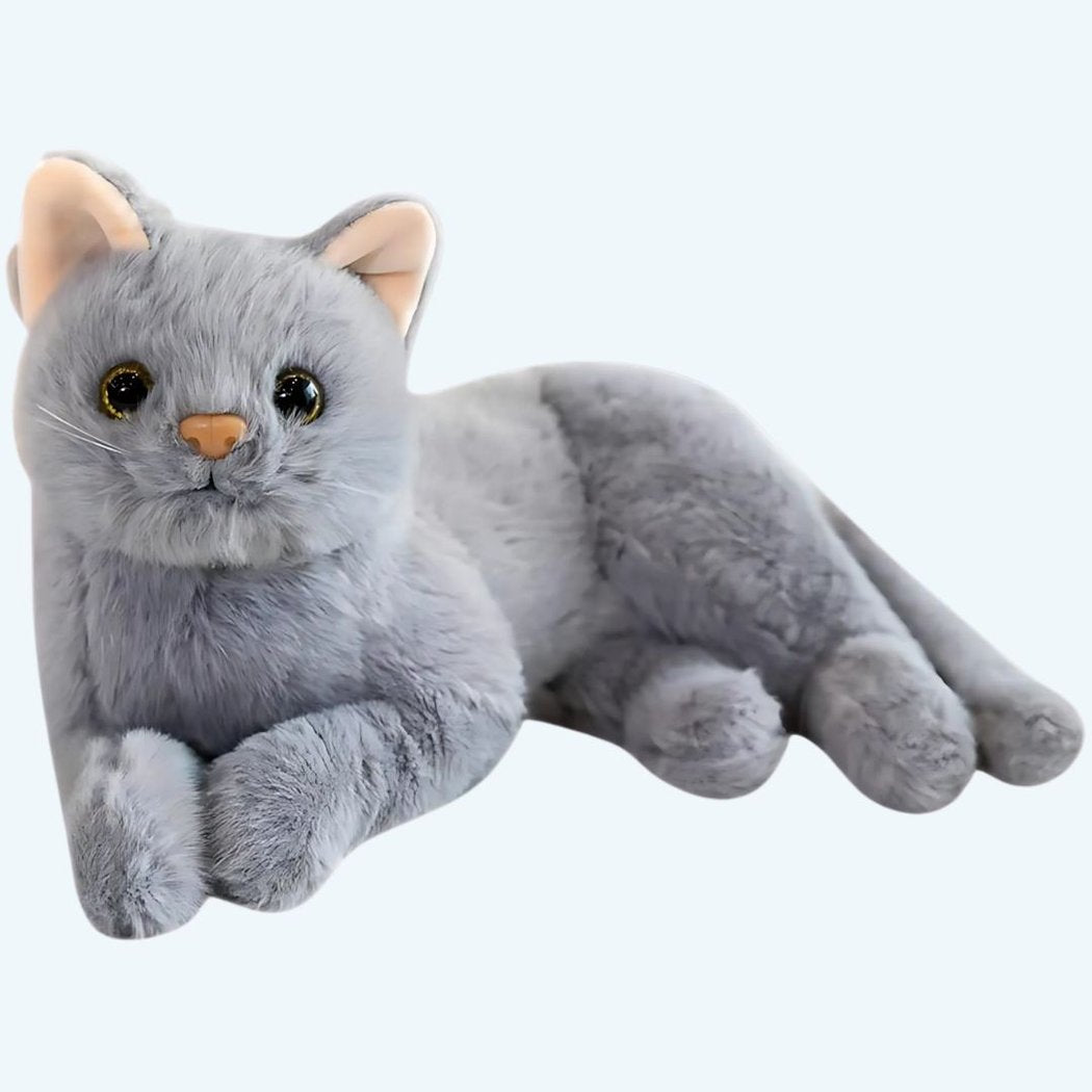 Peluche chat toute douce