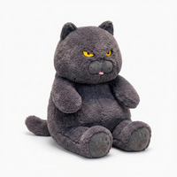 Fette graue Katze Kuscheltier - Fond blanc angle