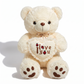 Ours en Peluche Poilu Blanc I Love You - fond blanc Frontal