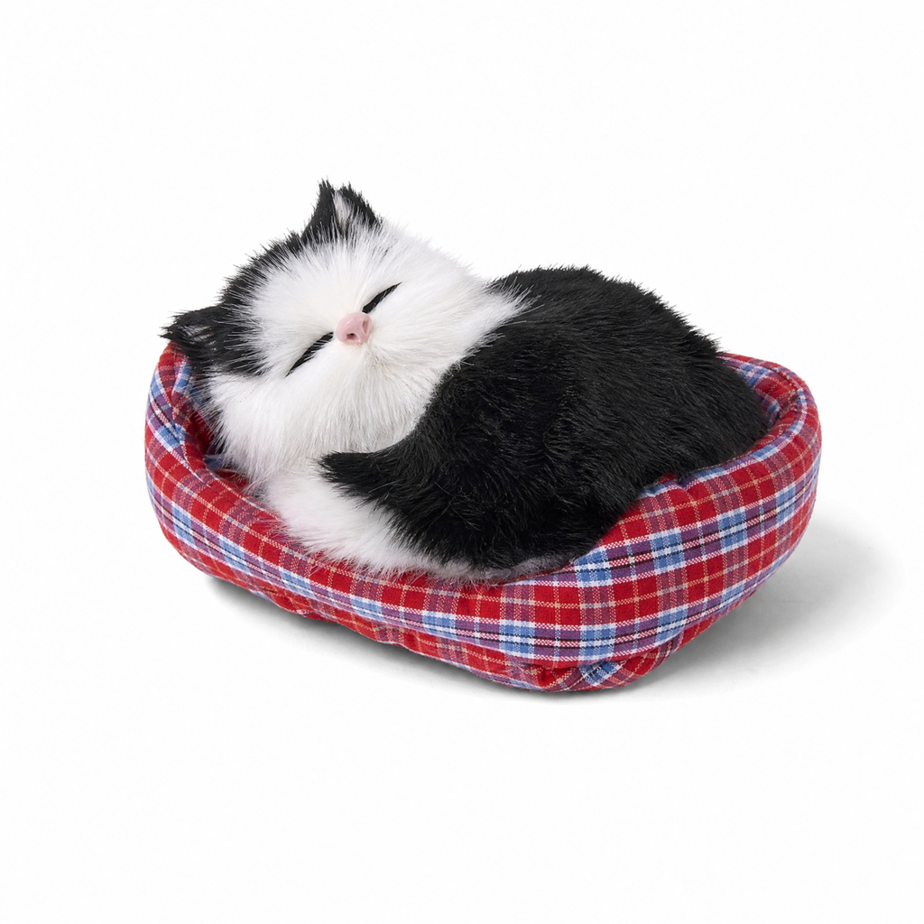 Peluche Chat Endormi avec Panier Décoratif - fond blanc Frontal