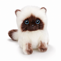Peluche Chaton Siamois Yeux Bleus - Fond blanc frontal