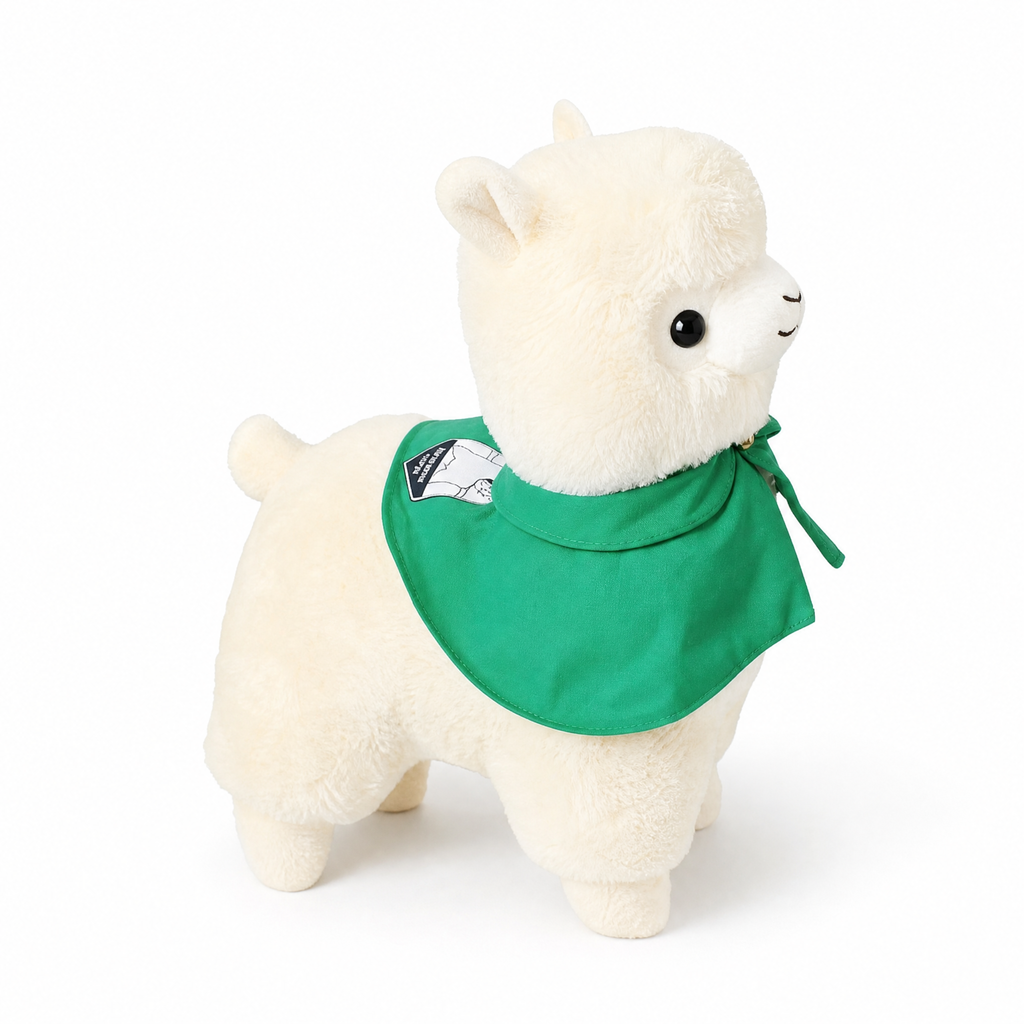 Peluche Lama Magicien avec Cape Verte - fond blanc Frontal
