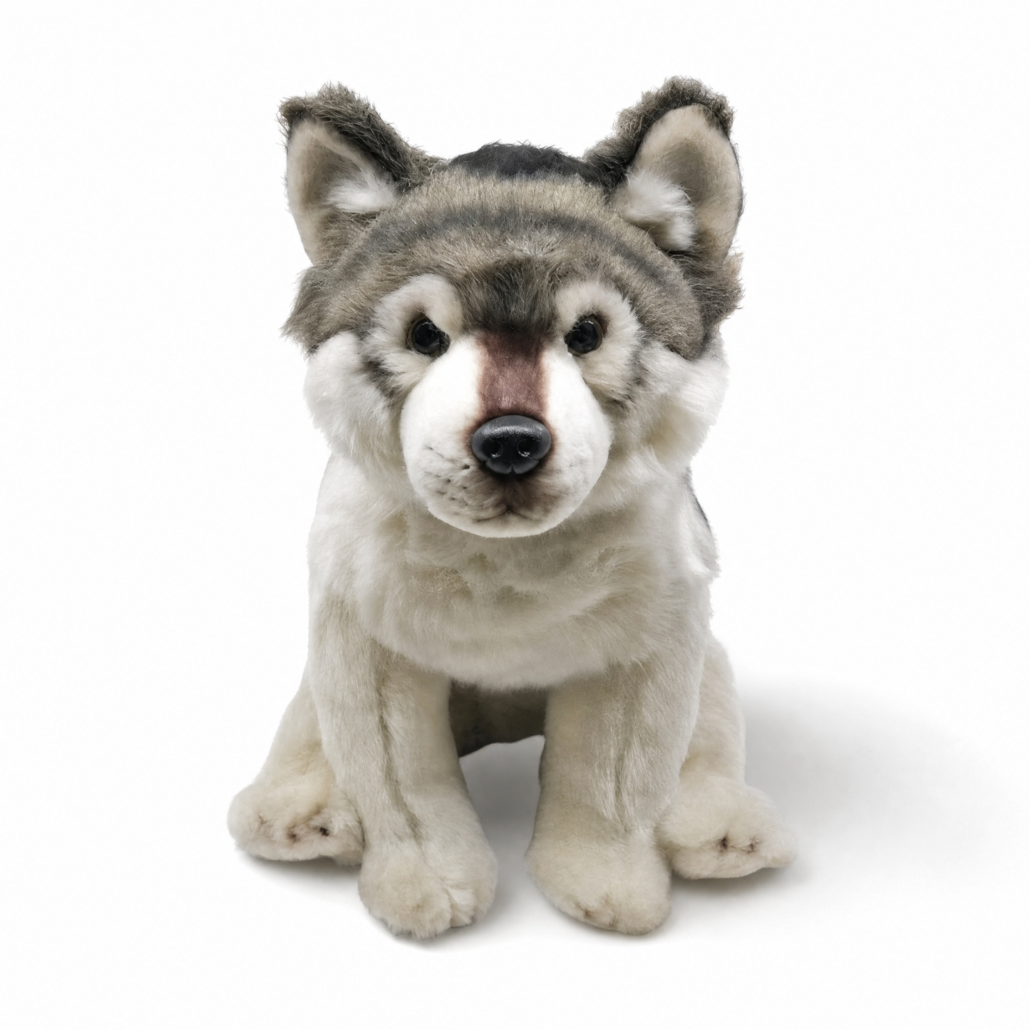 Peluche Loup Assis Réaliste 27cm - Fond blanc frontal