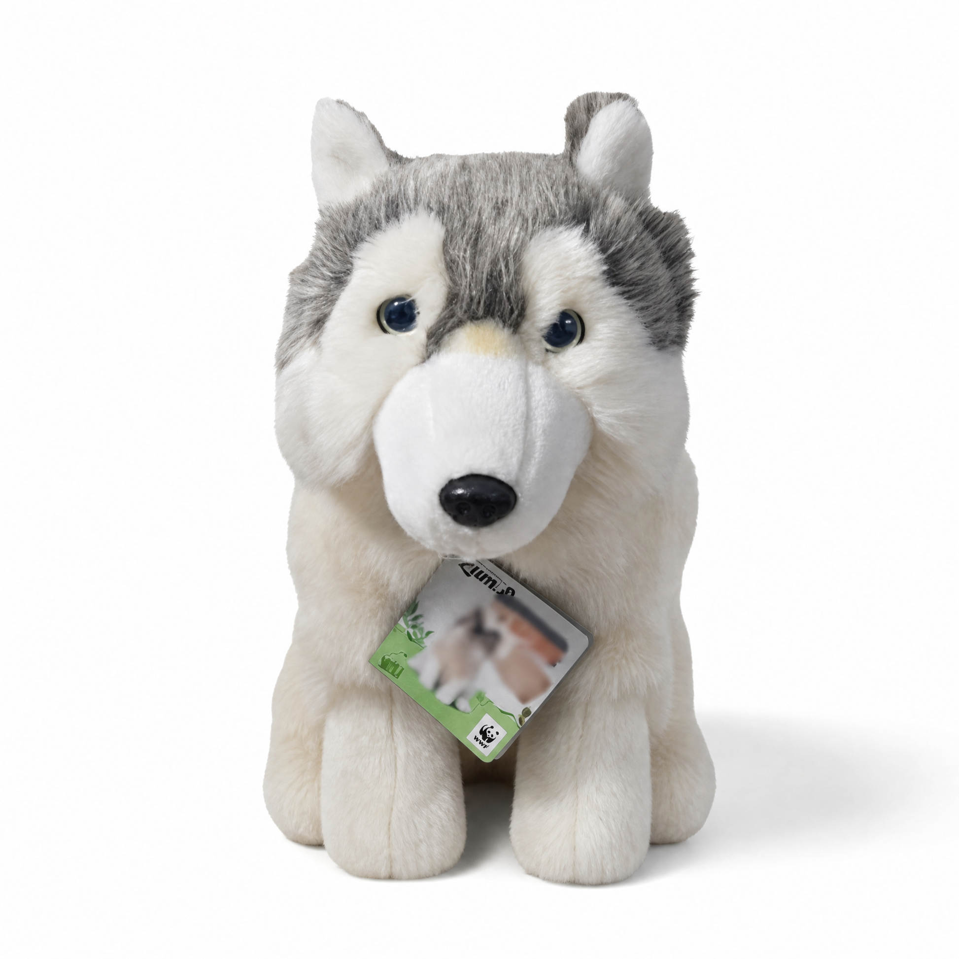 Peluche Loup Gris de Sibérie 28 cm - Fond blanc frontal