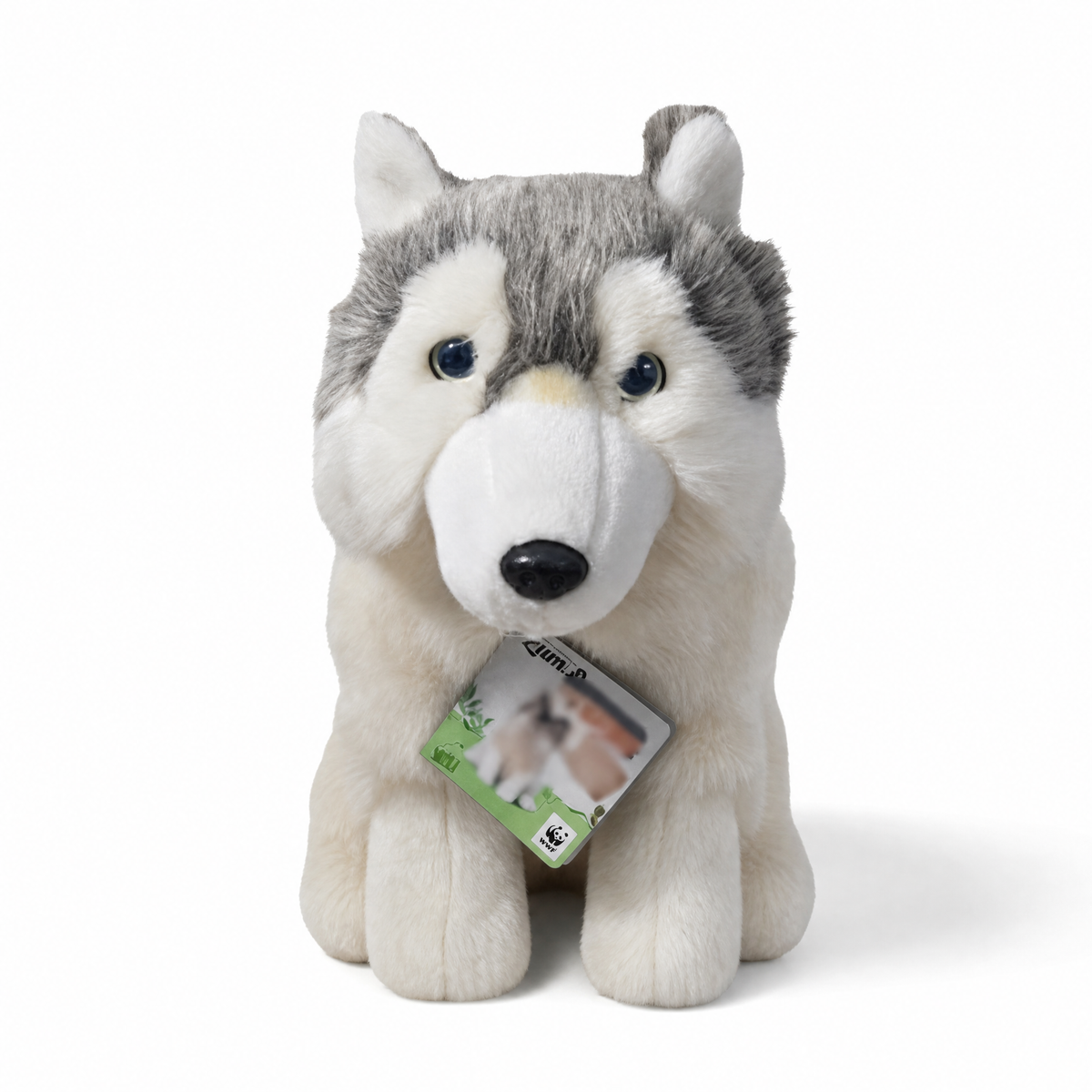 Peluche Loup Gris de Sibérie 28 cm - Fond blanc frontal