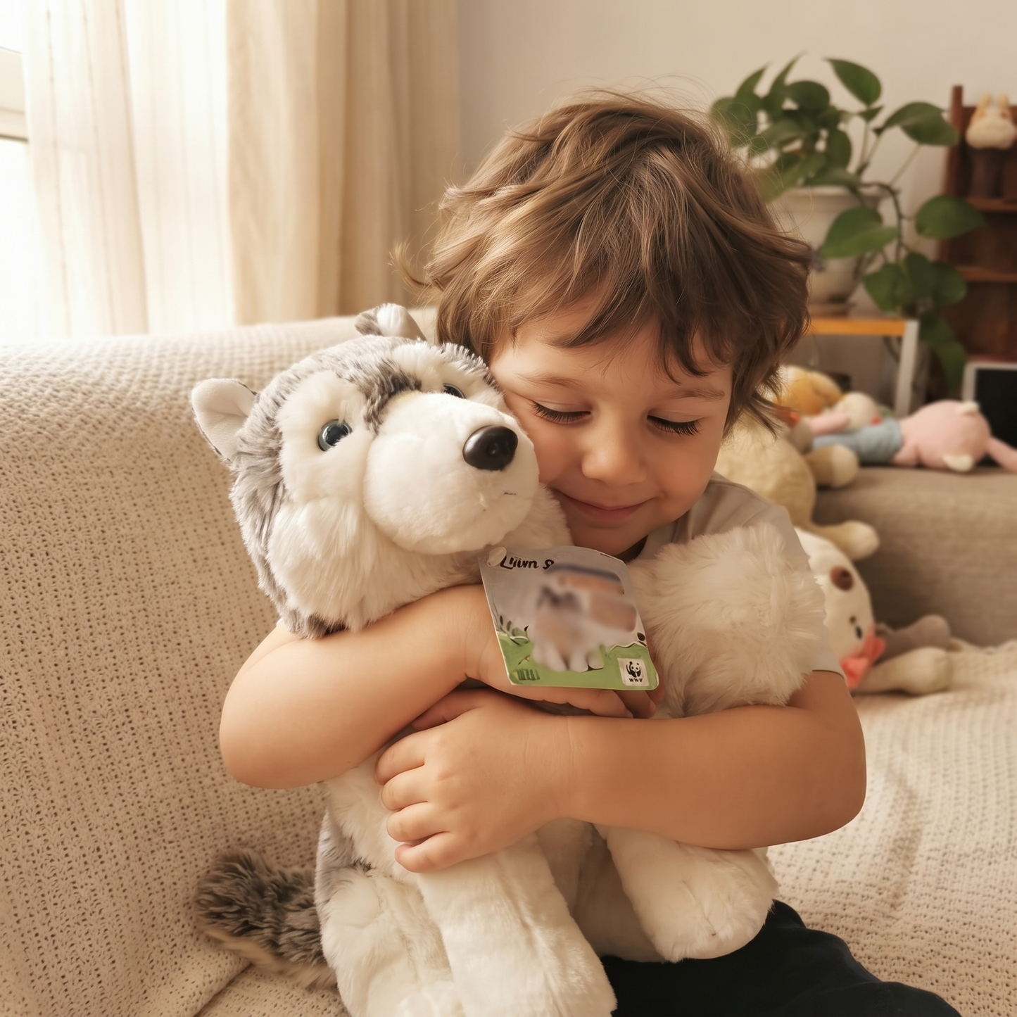 Peluche Loup Gris de Sibérie 28 cm - Utilisation cosy intérieur