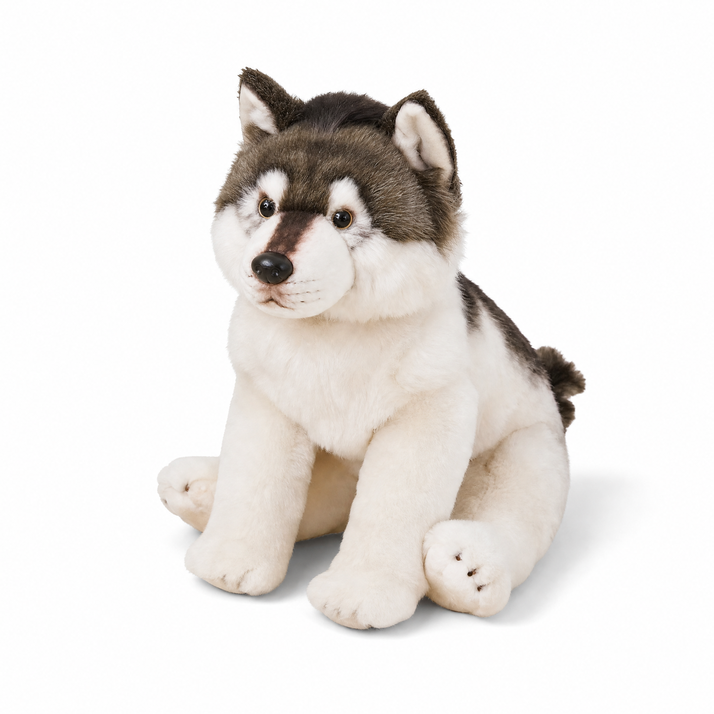 Peluche Loup Gris et Blanc 38 cm - Fond blanc frontal
