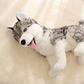 Peluche Loup Husky Gris 53cm - Détail matière