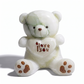 Peluche Ours Blanc I Love You - fond blanc Frontal