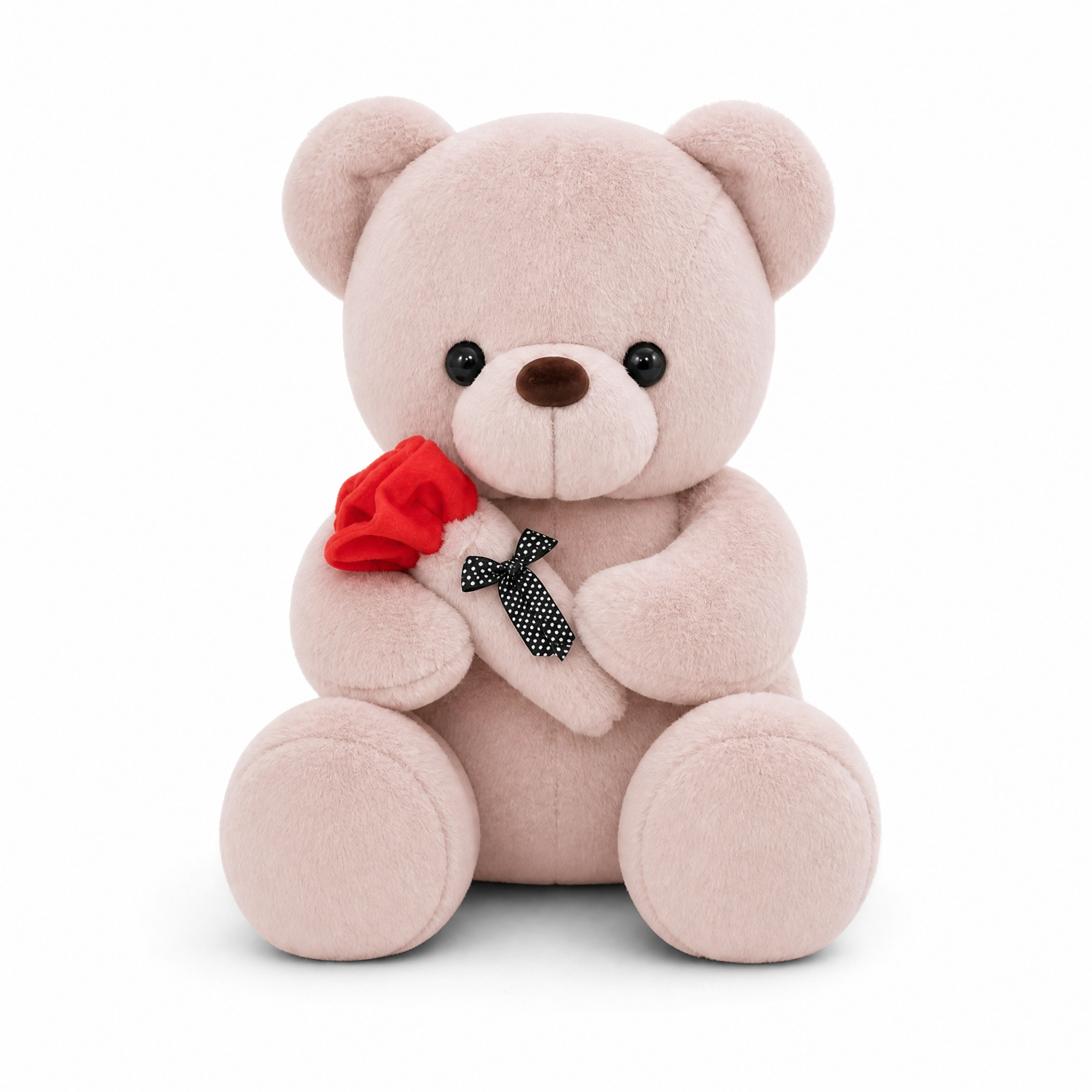 Rosa Teddybär Plüschtier mit Rose - Fond blanc frontal